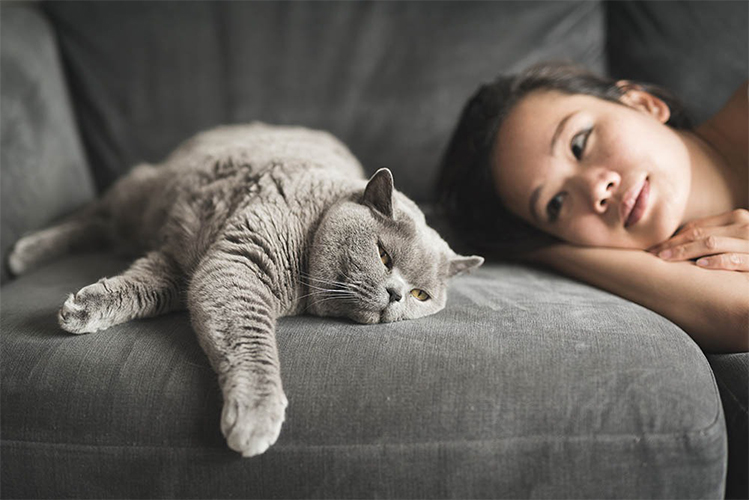 Discover The Heartwarming Reasons Behind Why Your Furry Friend Loves Sleeping Between Your Legs