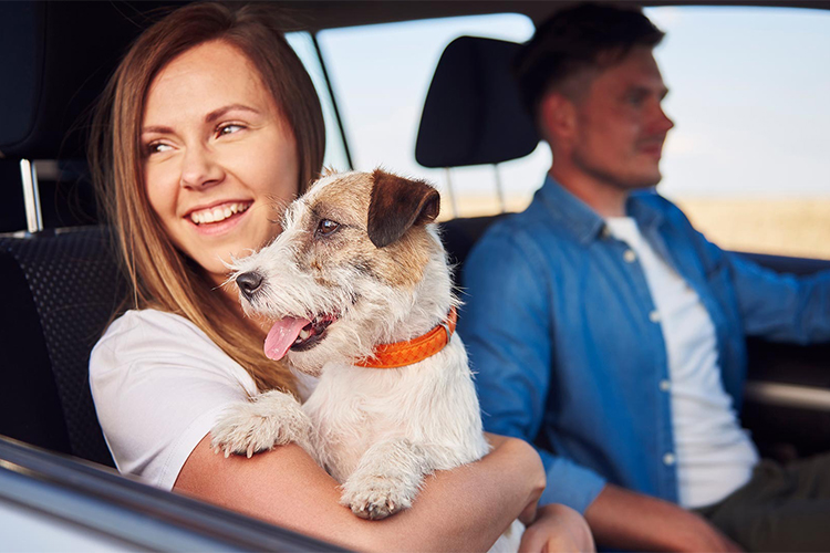 Guidelines for Travelling with Pets.