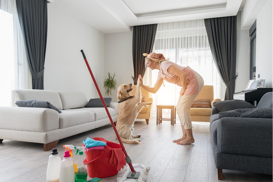 The Top Products for Cleaning and Comforting Pets.