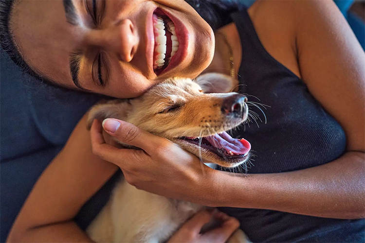 Don't let work keep your dog down – Try these 8 ways to keep them happy!