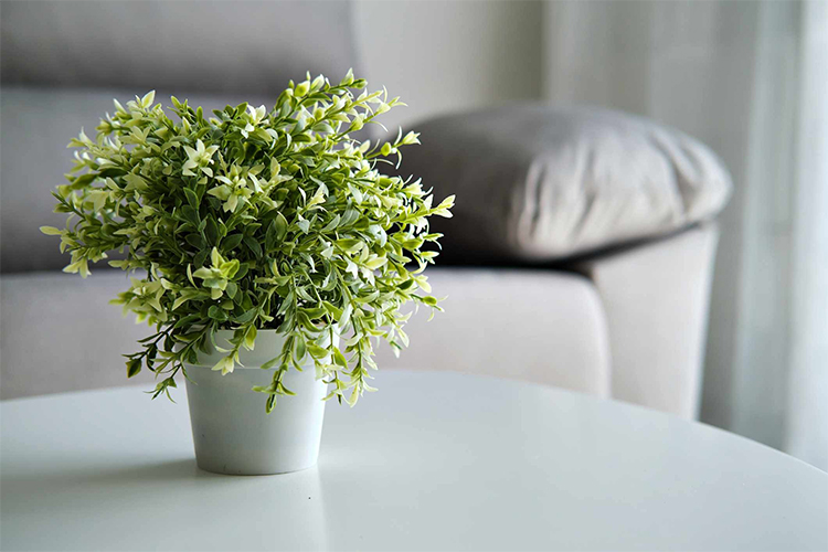 No green thumb? No problem! Discover the best faux plants that look like the real deal