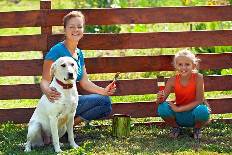 Ideas For Playgrounds Dog Owners Can Build At Home