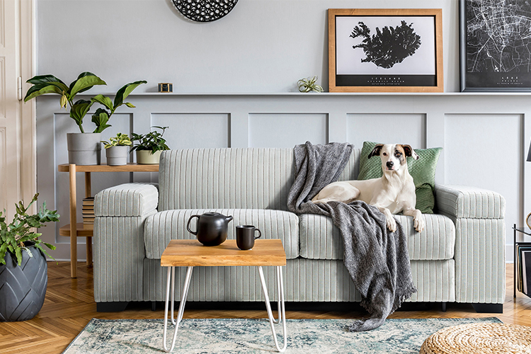 Revamp Your Space with These Top Furniture Trends of the Season